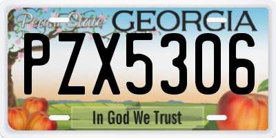 GA license plate PZX5306