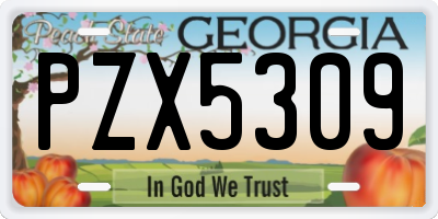 GA license plate PZX5309