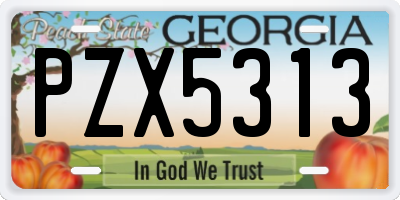 GA license plate PZX5313