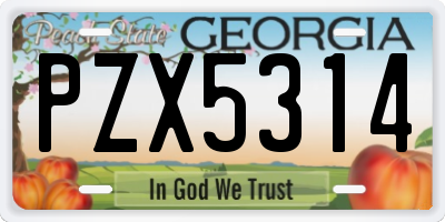 GA license plate PZX5314