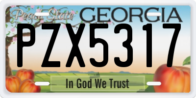 GA license plate PZX5317