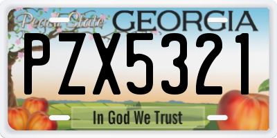 GA license plate PZX5321