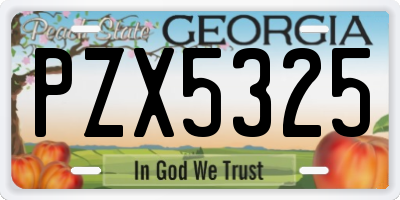 GA license plate PZX5325