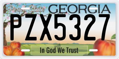 GA license plate PZX5327
