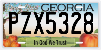 GA license plate PZX5328