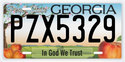 GA license plate PZX5329