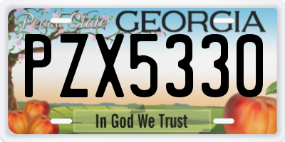 GA license plate PZX5330