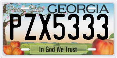 GA license plate PZX5333