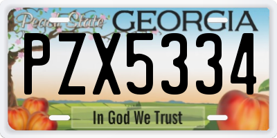 GA license plate PZX5334