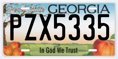 GA license plate PZX5335