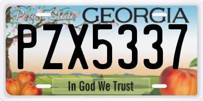 GA license plate PZX5337