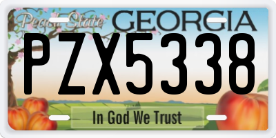GA license plate PZX5338