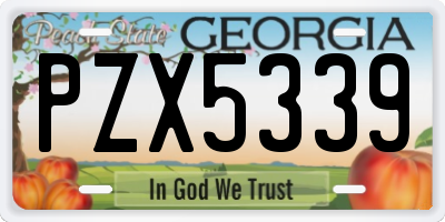 GA license plate PZX5339