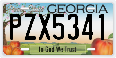 GA license plate PZX5341