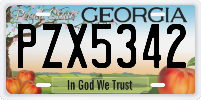GA license plate PZX5342