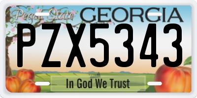 GA license plate PZX5343