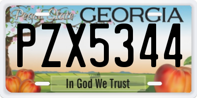 GA license plate PZX5344