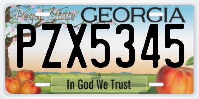 GA license plate PZX5345
