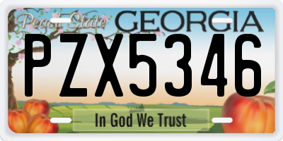GA license plate PZX5346
