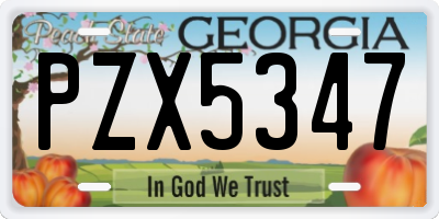 GA license plate PZX5347
