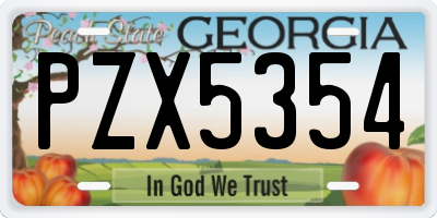GA license plate PZX5354