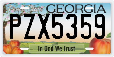 GA license plate PZX5359