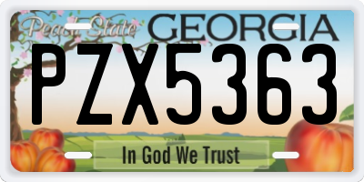 GA license plate PZX5363