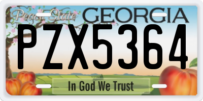 GA license plate PZX5364