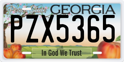 GA license plate PZX5365