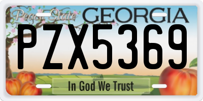 GA license plate PZX5369