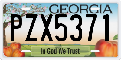 GA license plate PZX5371