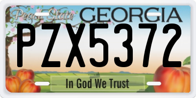 GA license plate PZX5372