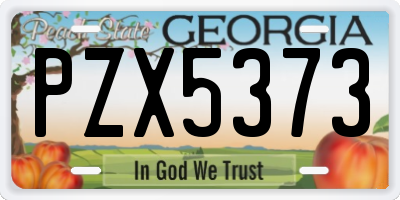 GA license plate PZX5373