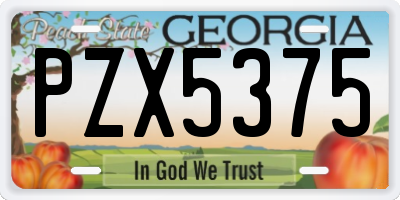 GA license plate PZX5375