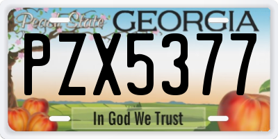 GA license plate PZX5377