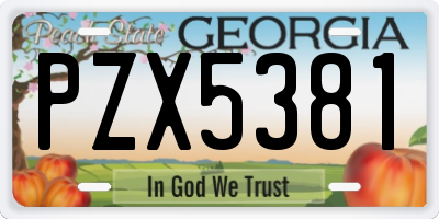 GA license plate PZX5381