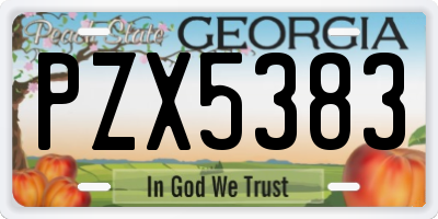 GA license plate PZX5383