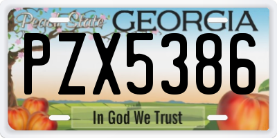 GA license plate PZX5386