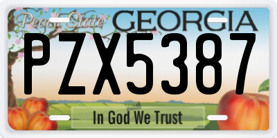 GA license plate PZX5387