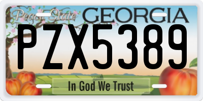 GA license plate PZX5389