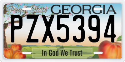 GA license plate PZX5394
