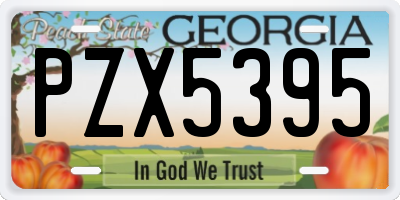 GA license plate PZX5395