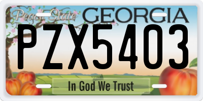 GA license plate PZX5403