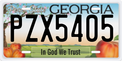 GA license plate PZX5405