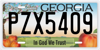 GA license plate PZX5409
