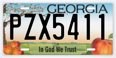 GA license plate PZX5411