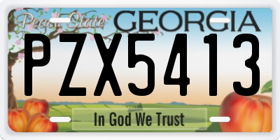 GA license plate PZX5413