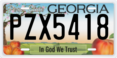 GA license plate PZX5418