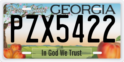 GA license plate PZX5422
