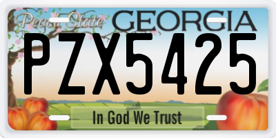GA license plate PZX5425